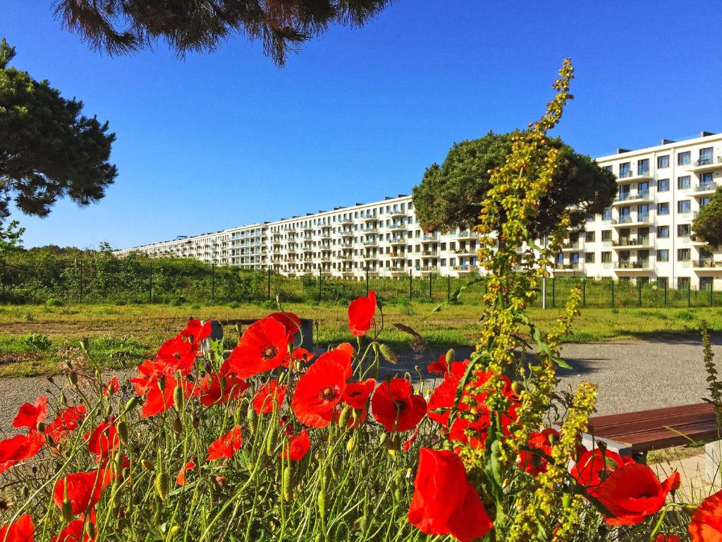 Strandresort Prora F648 WG 316 mit Meerblick room 2